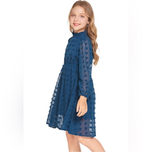 NWT Girls Swiss Dot Flared Sleeve Ruffle Collar Dress Size 12 - Picture 2 of 6